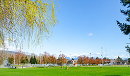 Sunny park scene with green grass, a weeping willow, distant mountains, and clear skies.