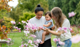 Two adults and a young child looking at pink flowers in a garden.
