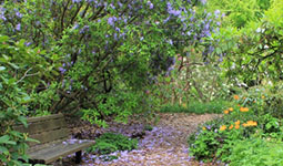Pathway surrounded by flowers and plants at VanDusen Botanical Garden
