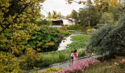 Scenic view of a pathway at VanDusen Botanical Gardens, showcasing lush greenery and blooming flowers with a visitor enjoying the view