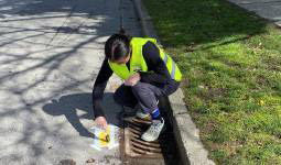 Person in hi-vis vest kneeling on top of a catch basin and marking the pavement with a yellow fish