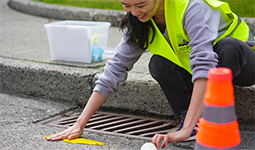 A person painting a yellow fish on the roadway