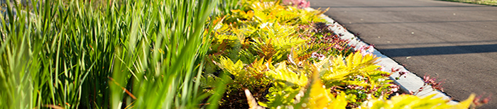 Greenest City news