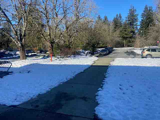 Curbside voting location at Champlain Heights Community Centre