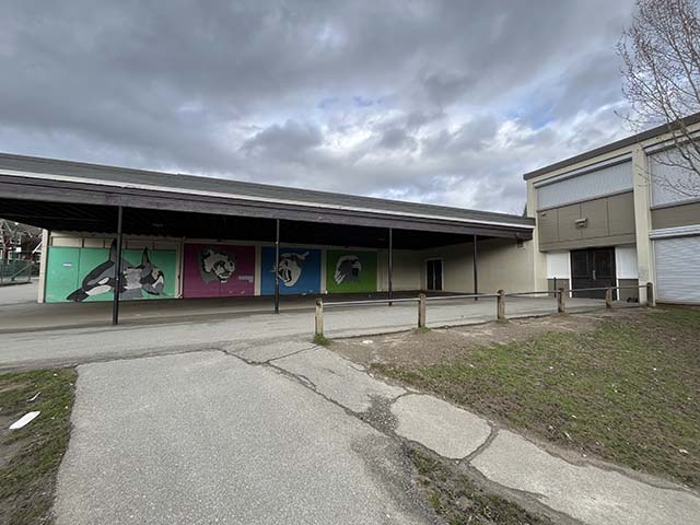 Accessible entrance to voting place at Captain James Cook Elementary School
