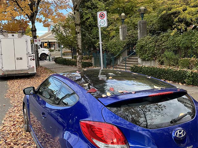 Curbside voting area at Collingwood Neighbourhood House